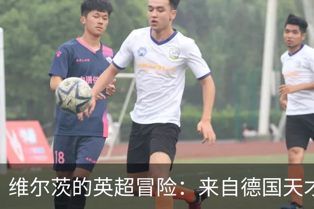 维尔茨的英超冒险：来自德国天才的“水货”传说